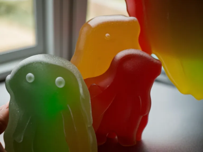 A person holding two probiotic gummies in their hand.